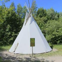 Tipi