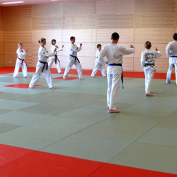 SBZ Sport Judo innen 1 1030x618